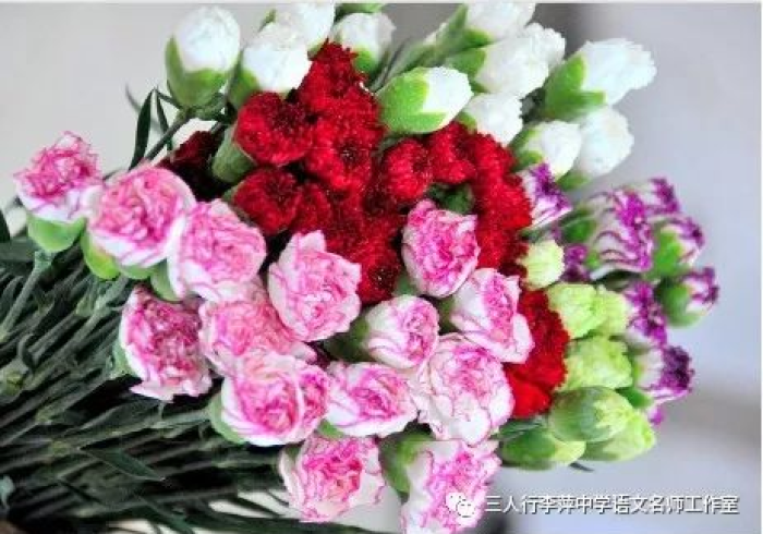 今日分享“开心武汉花竟然有挂”开挂安装教程