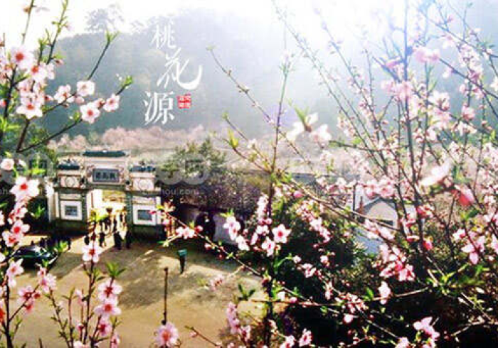 盘点＂桃花源是不是有挂吗!分享用挂教程