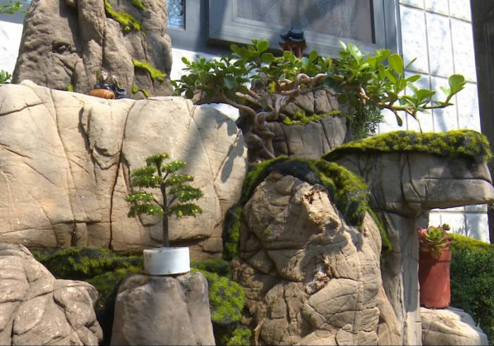 使用分享“淘讯可以作弊吗？”2025开挂教程步骤