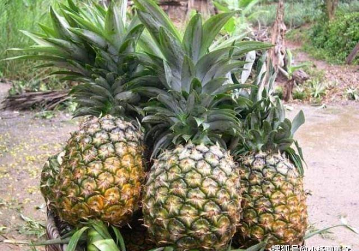 7分钟揭秘＂789大菠萝挂哪里能买到”其实确实有挂