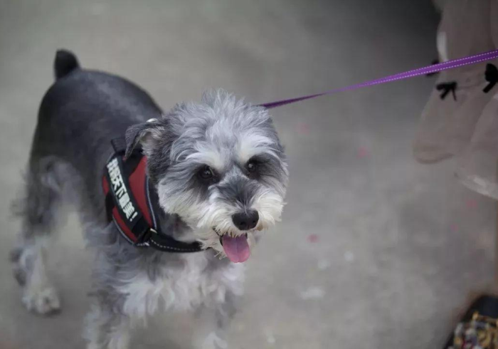 【技术分享】“百人斗神兽开挂会不会被检测出来!详细分享装挂步骤