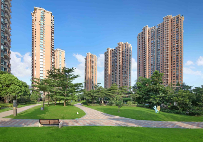 分析实测“摇光有挂吗？”-详细教程