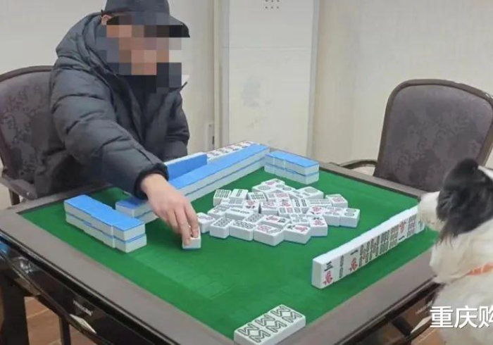 【知道】“富贵川麻换三张插件是不是真的”详细开挂玩法