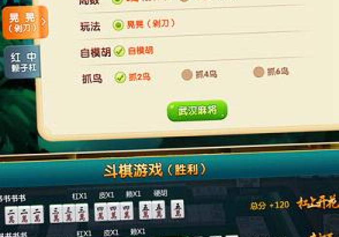 重大来袭“九九山城麻将开挂通用版”(太坑了果然有挂)