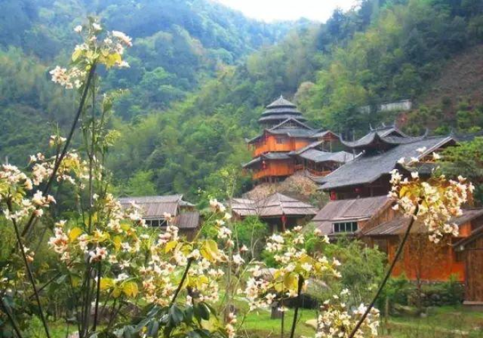 必学教你安装“鄱阳翻精怎么玩会输少赢多[真的有挂]