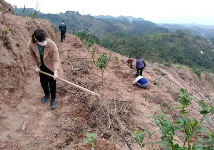 必学教你安装“粤友果然有挂[玩家必赢神器]