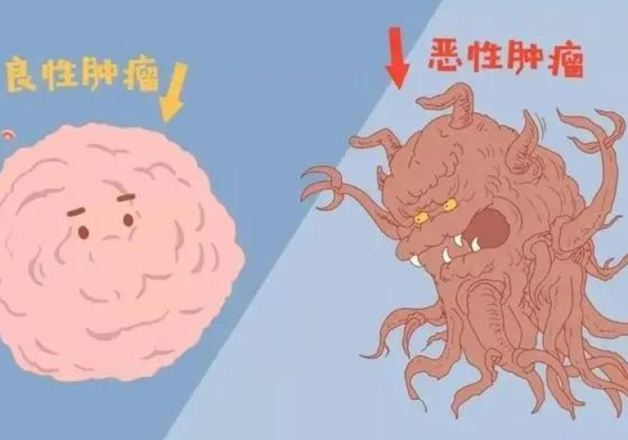 4分钟了解“哥哥杭州麻将怎么赢窍门”开挂(透视)辅助教程