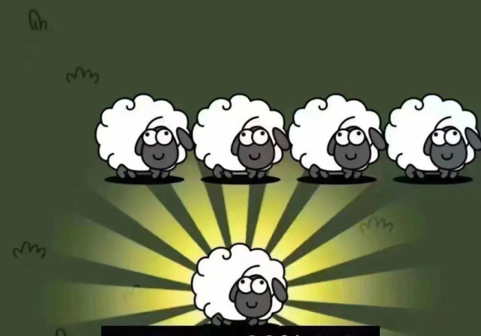 [分享]“三只羊开挂是怎样的？_游戏_玩家_工具