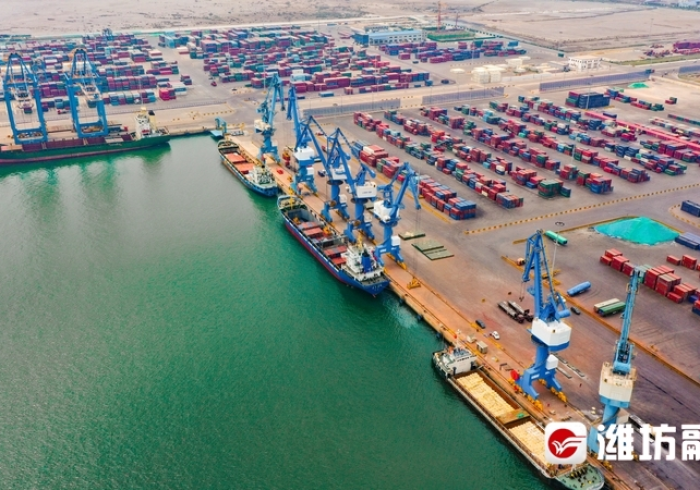 【知道】“海港为什么老输”(果然有透视挂)