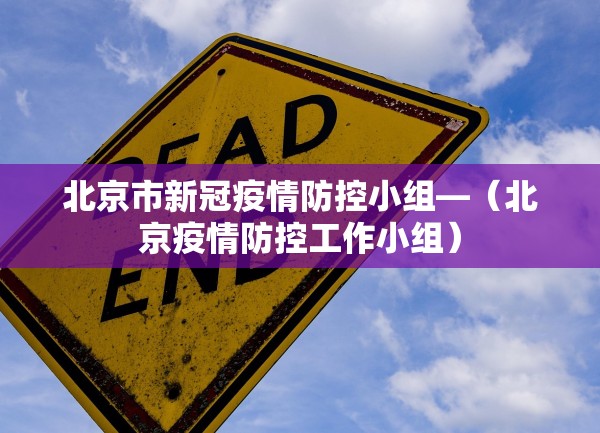 北京市新冠疫情防控小组—（北京疫情防控工作小组）
