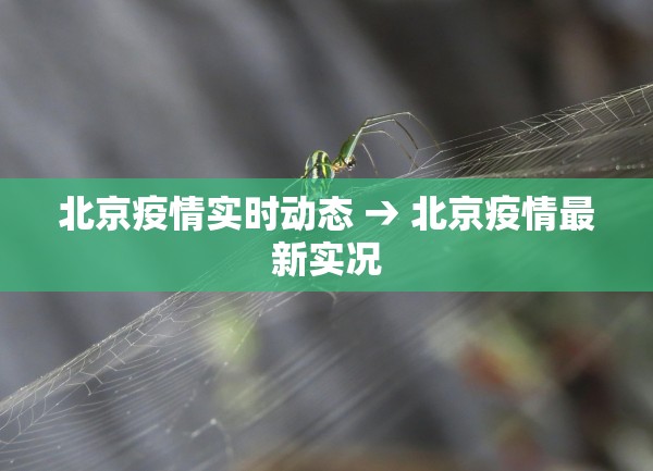 北京疫情实时动态 → 北京疫情最新实况