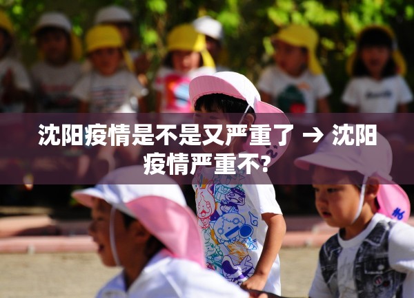 沈阳疫情是不是又严重了 → 沈阳疫情严重不?