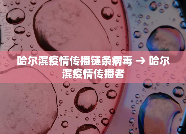哈尔滨疫情传播链条病毒 → 哈尔滨疫情传播者