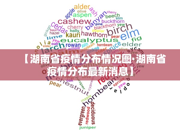 【湖南省疫情分布情况图·湖南省疫情分布最新消息】