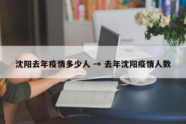 沈阳去年疫情多少人 → 去年沈阳疫情人数